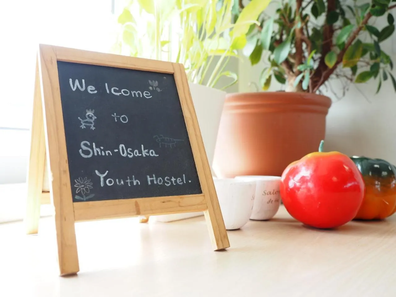 Shin-Osaka Youth Hostel Japon